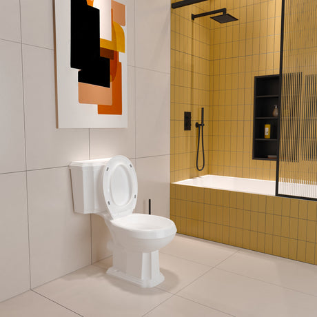 Modern Splash Wall Toilet White-TO-A022+TO-B022