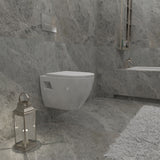 Modern Splash Wall Hung Toilet Whit-TO-085