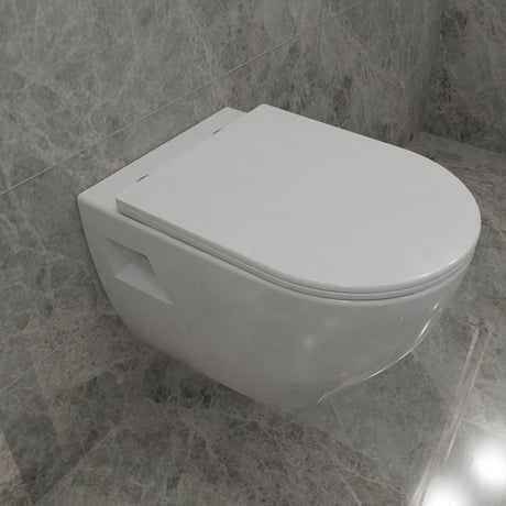 Modern Splash Wall Hung Toilet Whit-TO-085