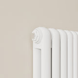 Modern Splash Vertical Round Tube Cast Iron Radiator 1600x504mm Double