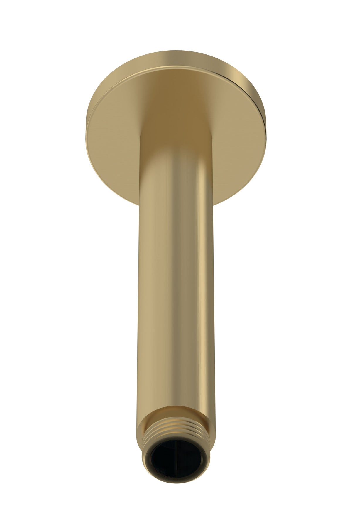 Modern Splash  Brushed Brass Wall-Mounted Shower Arm