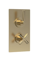 Modern Splash Brushed Brass Concealed Twin Thermostatic Shower Valve