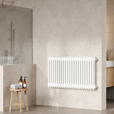 Colosseum White 1000mm x 600mm Vertical Column Radiator