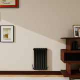 Modern Splash Vertical Round Tube Cast Iron Radiator 600x384mm Double
