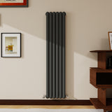 Modern Splash Vertical Round Tube Cast Iron Radiator 1600x384mm Double