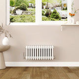 Modern Splash Cast Iron White Radiator-CIR3-13-4T
