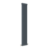 Modern Splash Cast Iron Anthracite Radiator CIR18-6-2N
