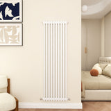 Modern Splash Cast Iron White radiator-CIR15-10-2T
