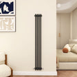 Modern Splash Cast Iron Anthracite radiator-CIR15-4-3N
