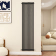 Modern Splash Cast Iron Anthracite radiator-CIR18-10-2N
