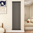 Modern Splash Cast Iron Anthracite radiator-CIR18-12-2N
