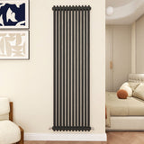 Modern Splash Cast Iron Anthracite radiator-CIR18-12-2N
