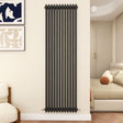 Modern Splash Cast Iron Anthracite radiator-CIR18-12-3N
