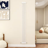 Modern Splash Cast Iron White radiator-CIR18-4-2T
