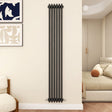 Modern Splash Cast Iron Anthracite radiator-CIR18-6-3N
