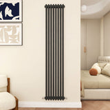 Modern Splash Cast Iron Anthracite radiator-CIR18-8-2N
