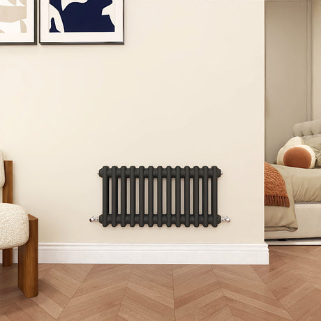 Modern Splash Cast Iron Anthracite radiator-CIR3-13-2N

