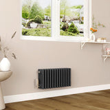 Modern Splash Cast Iron Anthracite Radiator-CIR3-13-4N
