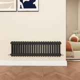 Modern Splash Cast Iron Anthracite radiator-CIR3-22-2N
