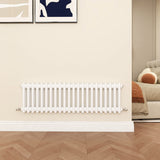 Modern Splash Cast Iron White radiator-CIR3-22-2T
