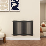 Modern Splash Cast Iron Anthracite radiator-CIR6-18-2N
