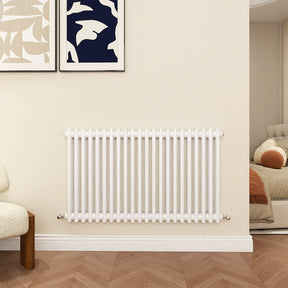 Modern Splash Cast Iron White radiator-CIR6-22-2T
