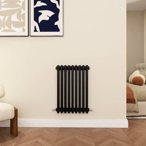 Modern Splash Cast Iron Black radiator-CIR6-9-3K
