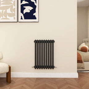 Modern Splash Cast Iron Anthracite radiator-CIR6-9-3N
