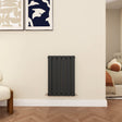Modern Splash Flat Panel Anthracite radiator-FP6-6-2N
