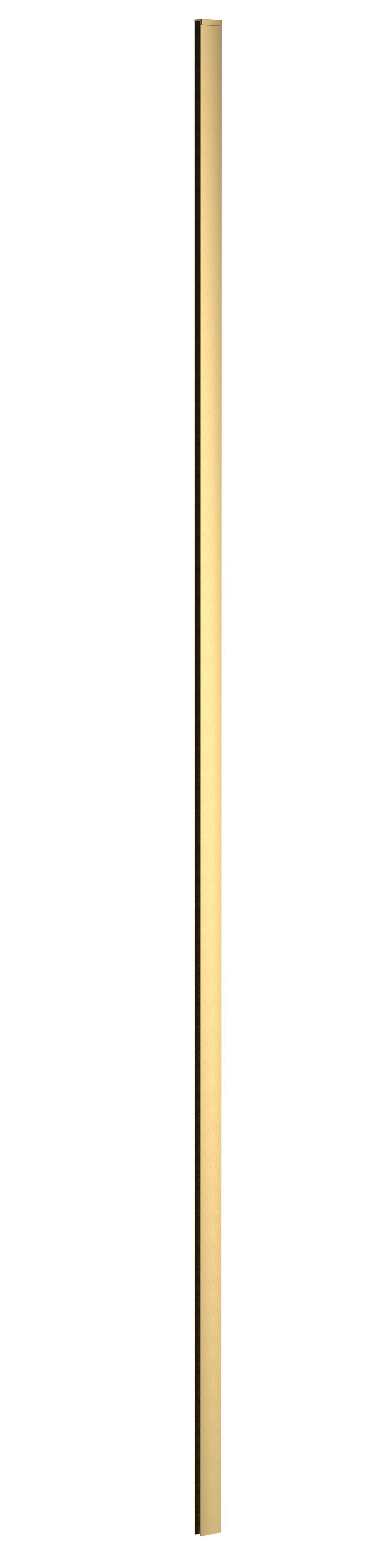 Brushed Brass 1950mm Wetroom Wall Channel
