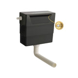 Concealed Cistern With Brushed Brass Traditional Dual Flush Plate
