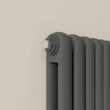 Modern Splash Vertical Round Tube Cast Iron Radiator 600x1584mm Double